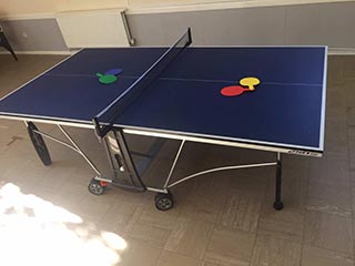 Ping pong table